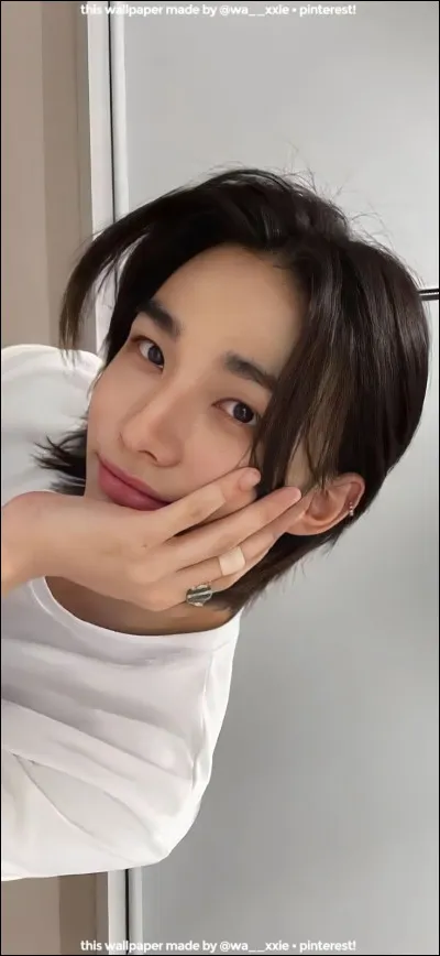 Qu'est-ce qu'un "visual" dans un groupe ?