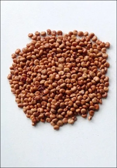 Dans son livre de 2013, comment est la nuit de Denis Tillinac ?