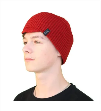 Lequel de ces livres d'Arto Paasilinna a été publié en 1991 ?