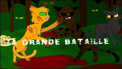 Ton clan se fait attaquer par un autre clan ! Que vas-tu faire ?