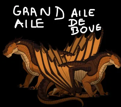 Est-ce que tu préfères être grand frère ou petit frère ? (Remplacer pas sur s'il faut.)