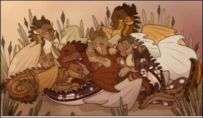 Aimes-tu aller voir les autres ? Ou restes-tu dans ta bande ?