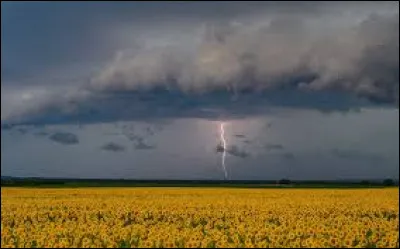 Le ciel s'assombrit, vous fermez les contrevents, les fenêtres. Ah ! Vous êtes cheimophobe ! De quoi avez-vous peur ?