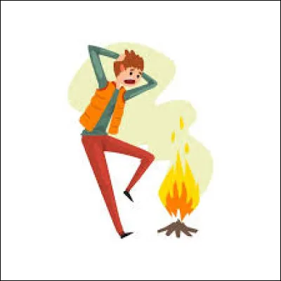 Si vous avez une certaine répulsion envers le feu, alors vous êtes :