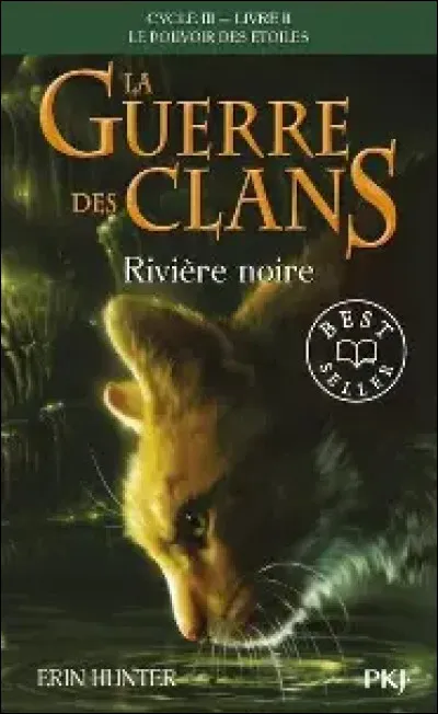 'LGDC'. Si on a lu uniquement la série, jusqu'au T2 du cycle 3, combien de chef(s) du Clan du Ciel connaît-on ?