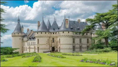 Pouvez-vous me dire quel est ce château ?