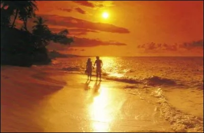 C'est une chanson qui commence par ces paroles : "Tu sais, je n'ai jamais été aussi heureux que ce matin-là / Nous marchions sur une plage un peu comme celle-ci / C'était l'automne, un automne où il faisait beau / Une saison qui n'existe que dans le Nord de l'Amérique". Quel est son titre ?