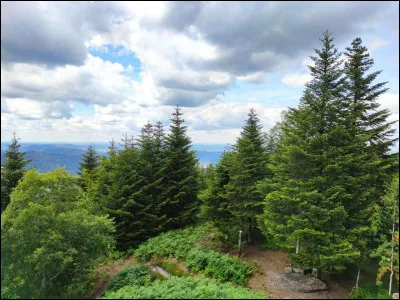 Qu'utise-t-on pour faire de la marche nordique ?