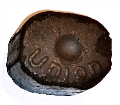 Quel est le nom de cette roche s&eacute;dimentaire compos&eacute;e de restes fossiles de plantes ?