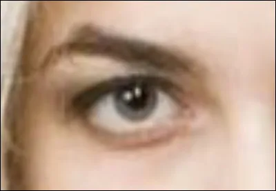 À qui appartient cet il ?