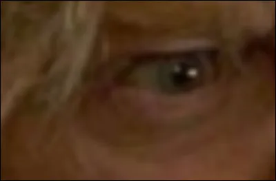 À qui appartient cet il ?