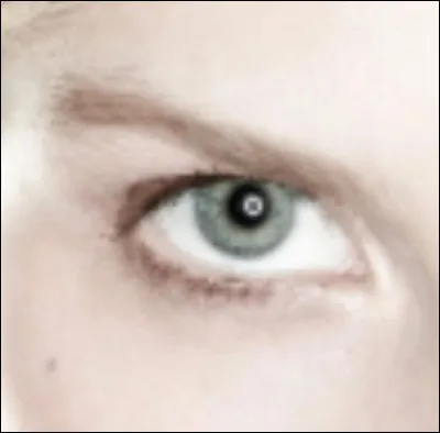 À qui appartient cet il ?