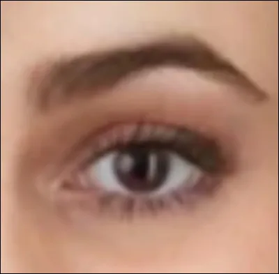 À qui appartient cet il ?