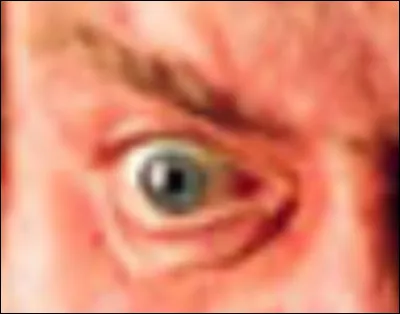 À qui appartient cet il ?