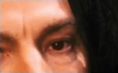 À qui appartient cet il ?