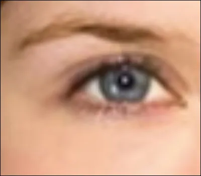 À qui appartient cet il ?