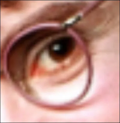 À qui appartient cet il ?