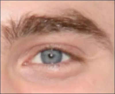 À qui appartient cet il ?