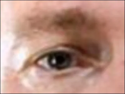 À qui appartient cet il ?