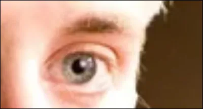 À qui appartient cet il ?