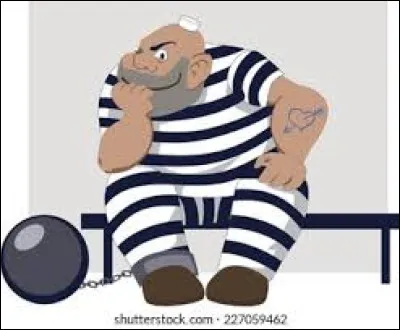 Situé dans la commune d'Ossining, près de New York (à cinquante kilomètres), l'établissement correctionnel de Sing Sing a ouvert ces portes en 1826. Parmi ces trois bandits, qui ont sévi durant la prohibition, lequel a été emprisonné dans cette prison ?