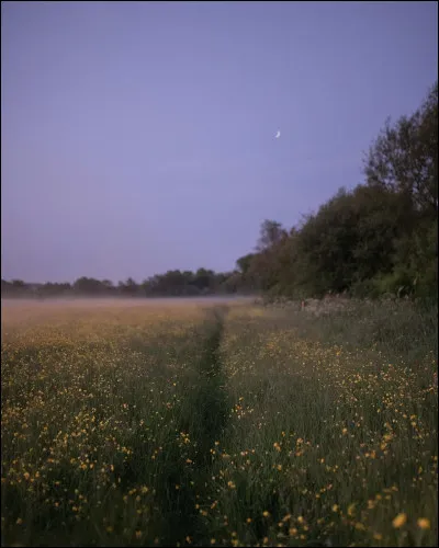 La nuit tombe, vous apercevez une lueur étrange dans le ciel