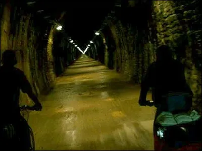 Entre Cluny et Mâcon, un tunnel ferroviaire de 1.6 km, reconverti en voie verte, est fermé d'octobre à avril. Pour quelle raison ?