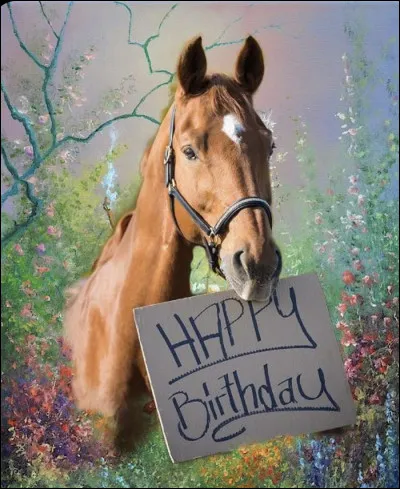 C'est ton anniversaire ! Quel est le cadeau de tes rêves ?