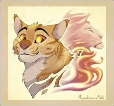 Pelage de Lion est un guerrier du Clan...