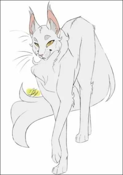 Qui est le premier lieutenant dÉtoile de Feu ?