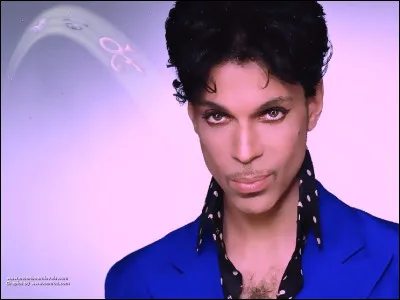 Prince chante "Purple Rain".