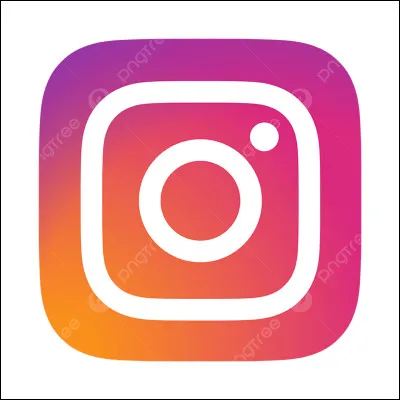 Quel site représente ce logo ?