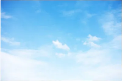 De quelle couleur sont les poussins ?