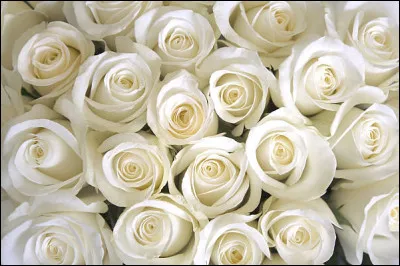 De quelle couleur est le chocolat ?