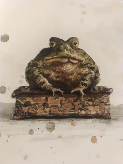 Dans quelle saga retrouve-t-on Trevor, le crapaud de Neville Londubat ?