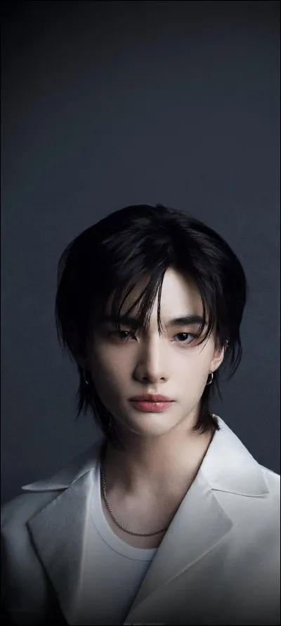 Quel est le nom complet de Hyunjin ?