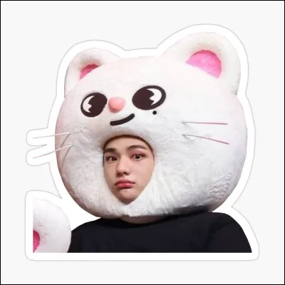 Quel est le nom de son skzoo ?