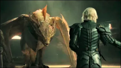 Il sappelle Sunfyre. Qui est son propriétaire ?