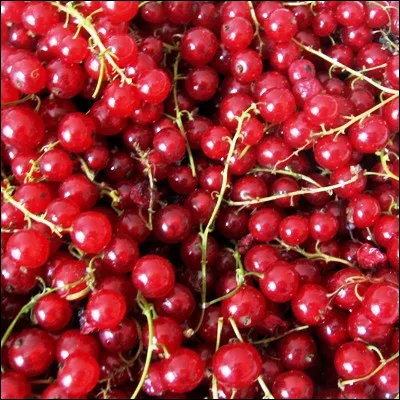 Quel fruit originaire de Chine (et non de Nouvelle-Zélande) est parfois appelé groseille de Chine ?