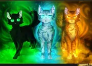 Quiz Connais-tu bien les Trois ?