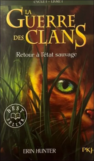 Que leur arrive-t-il à la fin de la Grande Bataille ?