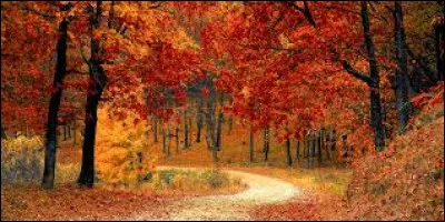 En français le mot "automne" est-il masculin ou féminin ?