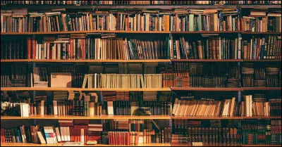 Quel style dhistoires tattire le plus ?