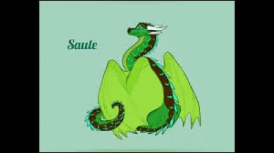 Quel est son animal (son animal de compagnie) ?