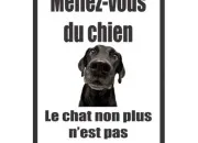 Quiz 13 animaux  deviner