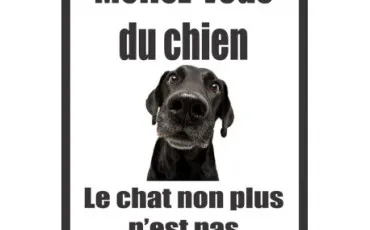 Quiz Vocabulaire