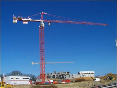 Lorsqu'arrive la période des amours, elle danse, on la dit alors ...