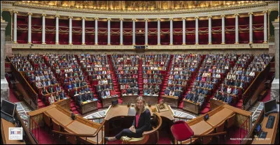 Quel est le nombre de députés siégeant à lAssemblée nationale ?