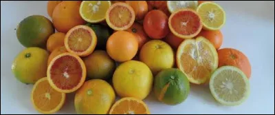 Quel fruit est issu d'une hybridation de la mandarine et du pomélo ?