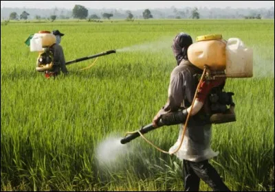 Qu'est-ce qu'un pesticide ?